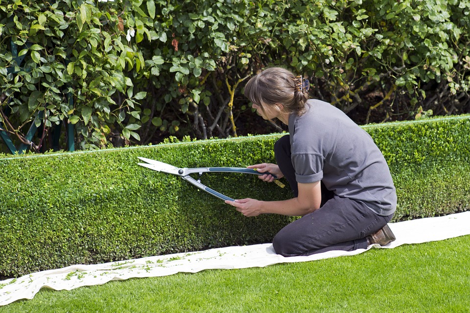 Service de mise à disposition pour espaces verts