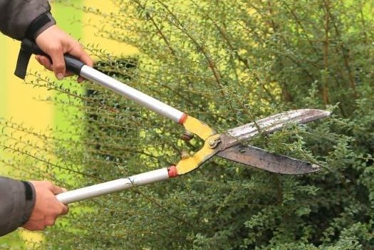 ESAT-entretien-espaces-verts-1